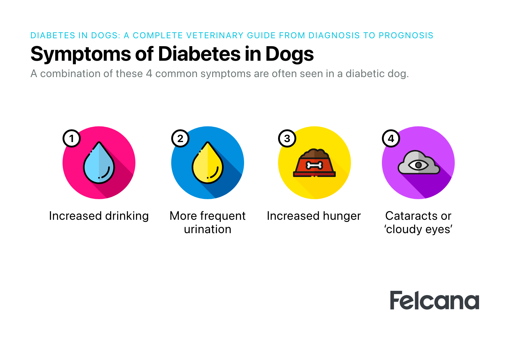 Freshpet Dog Food for Diatic Dogs: An-Depth Analysis