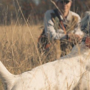 The Perfect Distance for Upland Dog Training