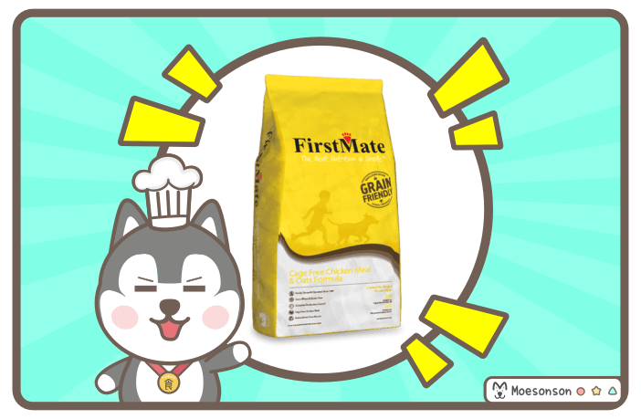 🐾 Ξετυλίγοντας το εργατικό δυναμικό της First Mate Dog Food 🐾